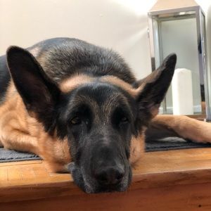 Meet your Posher, Sheena